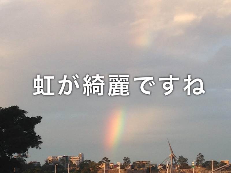 Cover image for The Language Lighthouse: Guiding Words Across Borders
