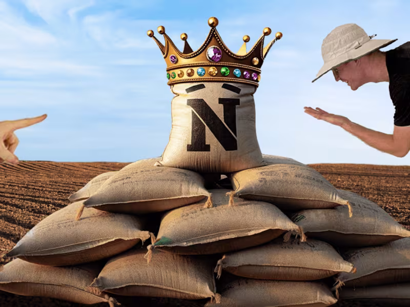 Cover image for Green Screen YouTube Video