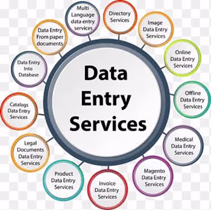 Cover image for Professional data entry 