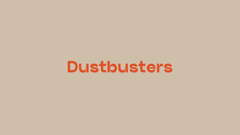 Cover image for Dustbusters