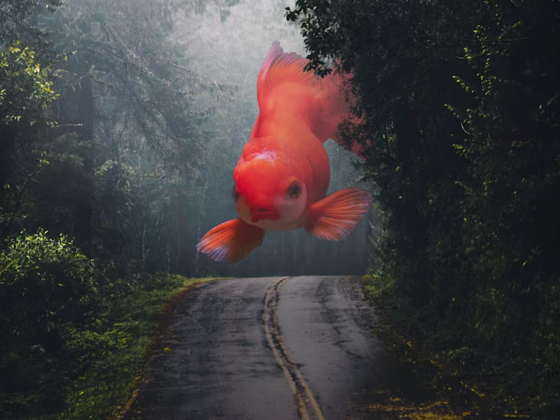 Cover image for Graphic design Services