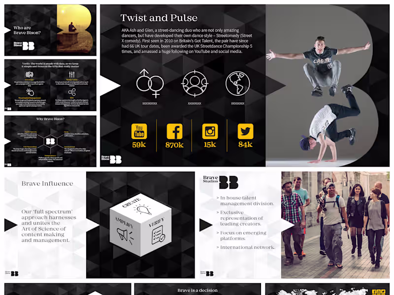 Cover image for Brave_Bison