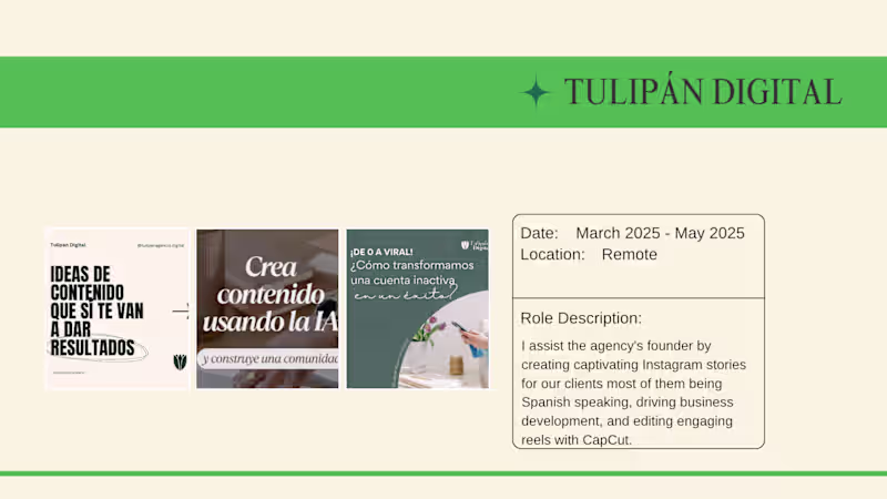 Cover image for Handled four accounts of local small businesses