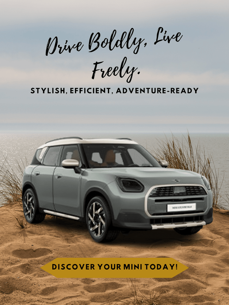 Cover image for Ad Poster created for Mini!