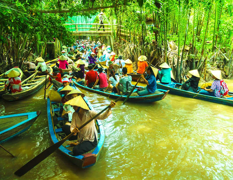 Cover image for Canoe Trips: Exploring Nature's Waterways