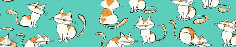 Cover image for 2D animation clips for the Character of Oh' Erik