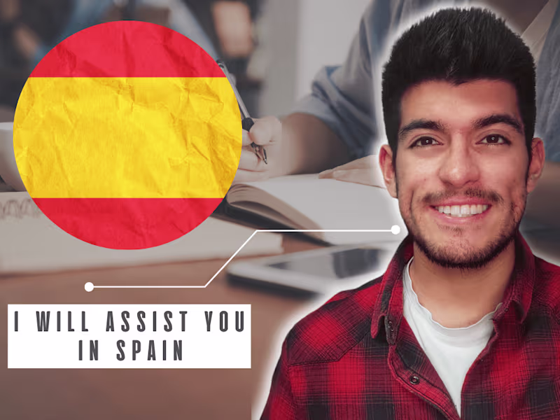 Cover image for Assistance in Spain