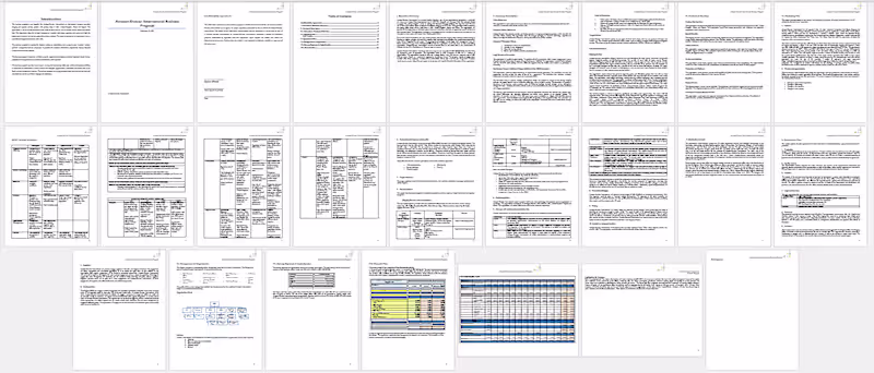 Cover image for Management Report