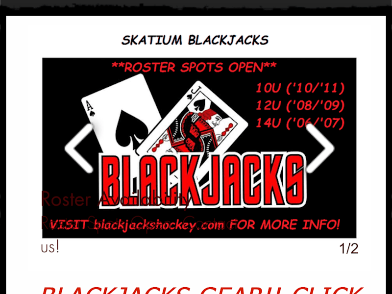 Cover image for Fort Myers Skatium Youth Hockey