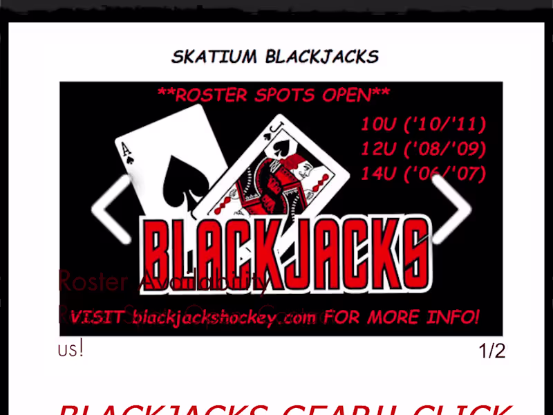 Cover image for Fort Myers Skatium Youth Hockey