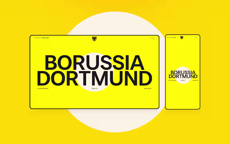 Cover image for BVB Tribute Website Development