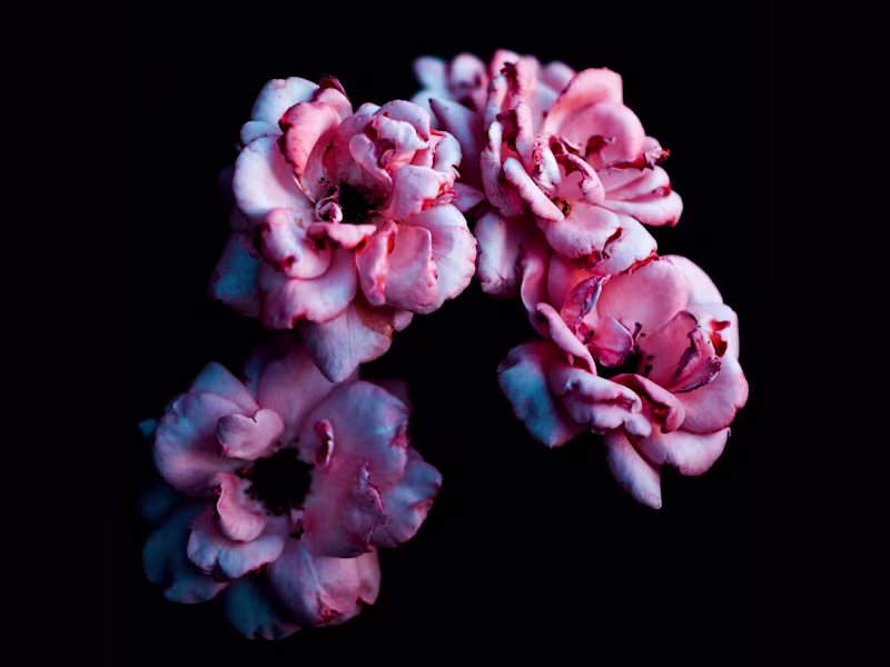 Cover image for The Content Retainer