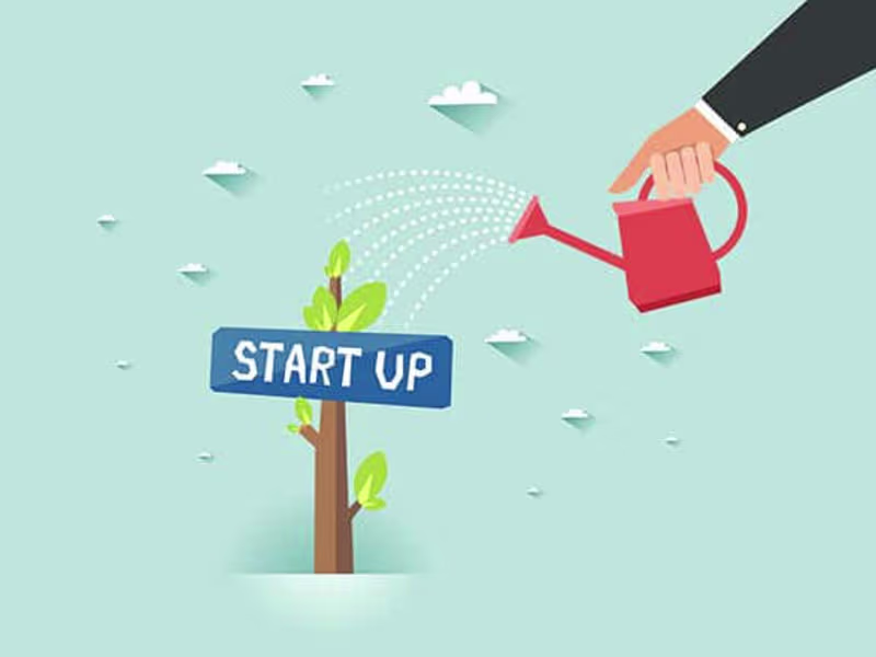 Cover image for Streamlining a Small Business Launch