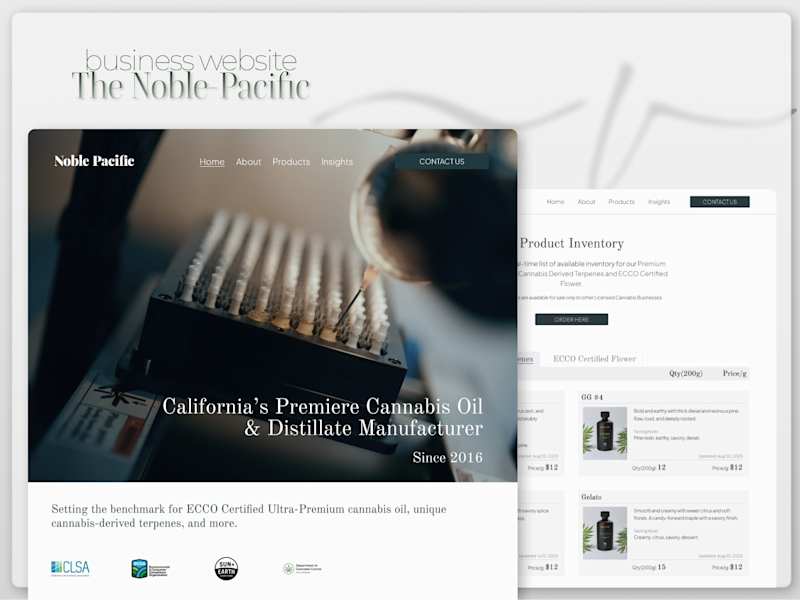 Cover image for Custom Business Website & Retainer Partnership