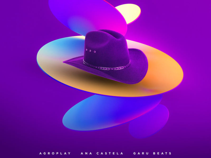 Cover image for Lo-Fi Remix of 'Nosso Quadro' by Ana Castela