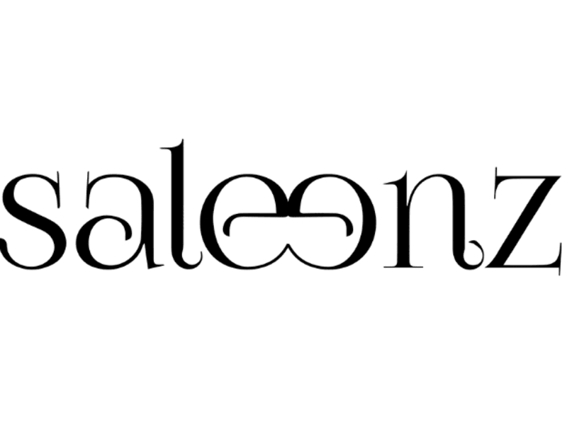 Cover image for WordPress Website Saleenz - A Clothing Brand