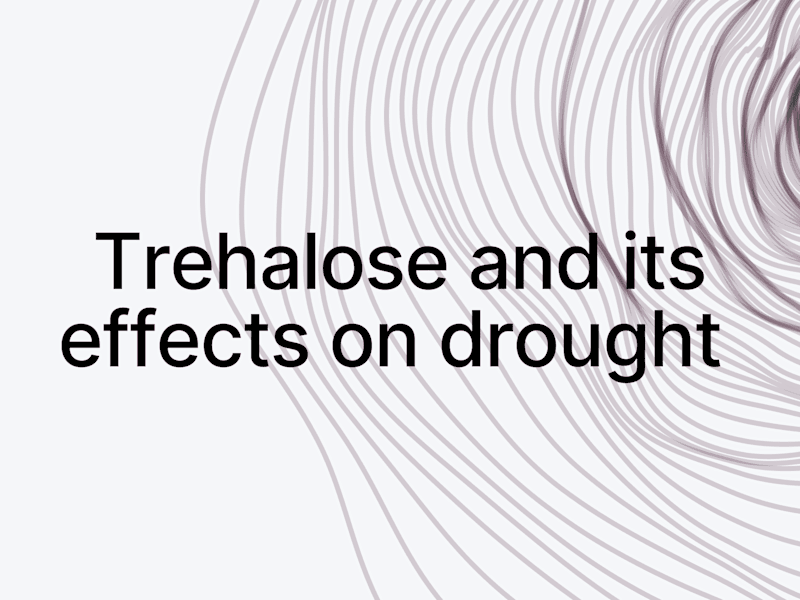 Cover image for Trehalose