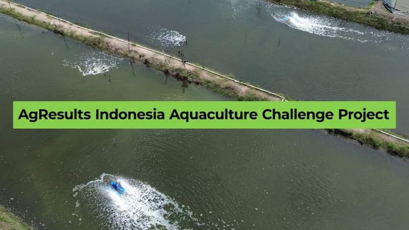 Cover image for Learning From Smallholder Farmers: Technology Prize in Indonesia
