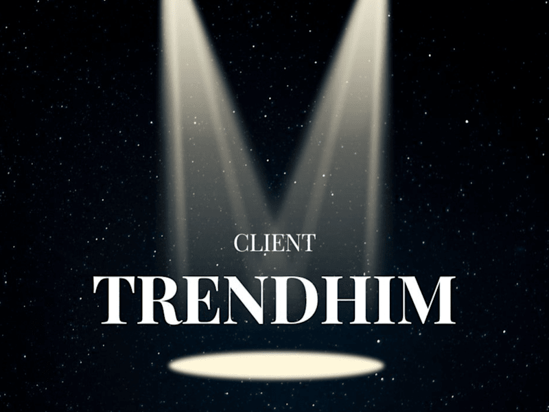 Cover image for Expert in Marketing Translation & SEO Optimization for Trendhim
