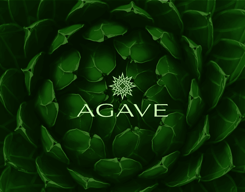 Cover image for AGAVE