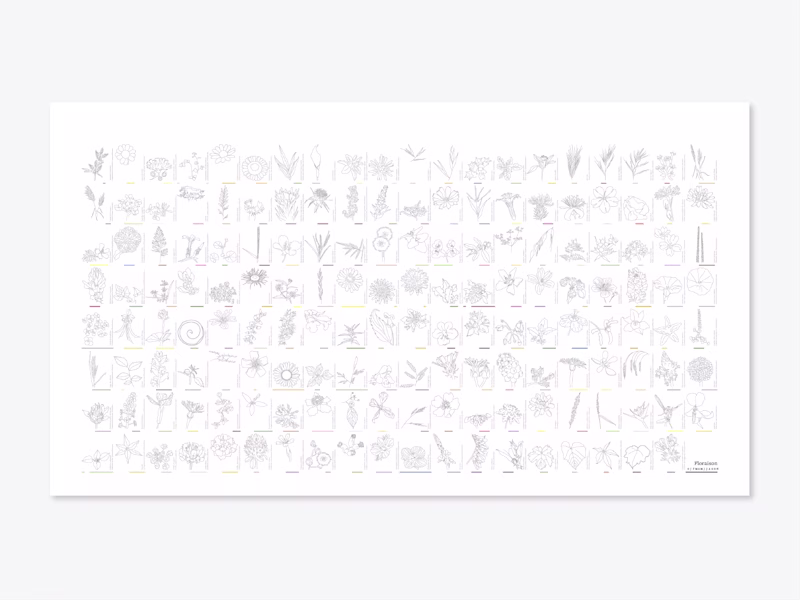 Cover image for Anthology of flora: botanical species and their blooming periods