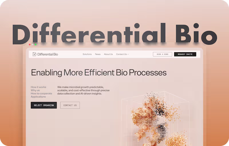 Cover image for Webflow Development for Differential Bio's 