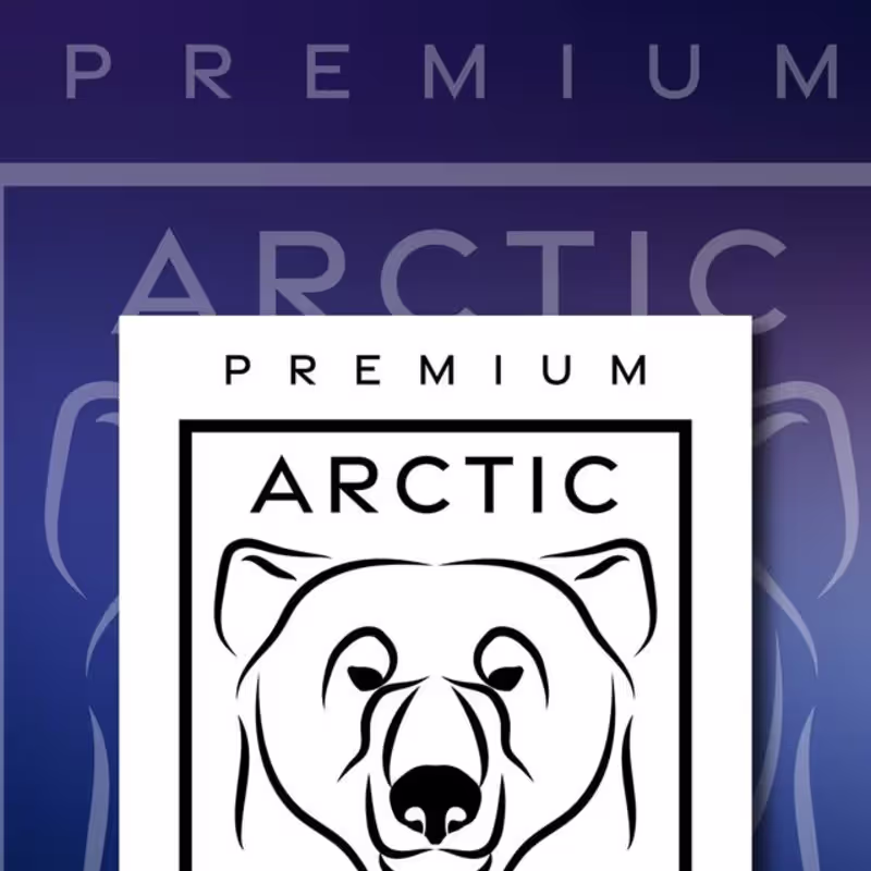 Cover image for Arctic Scoops