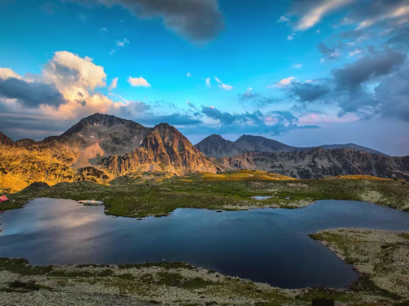 Cover image for Virtual Assistant