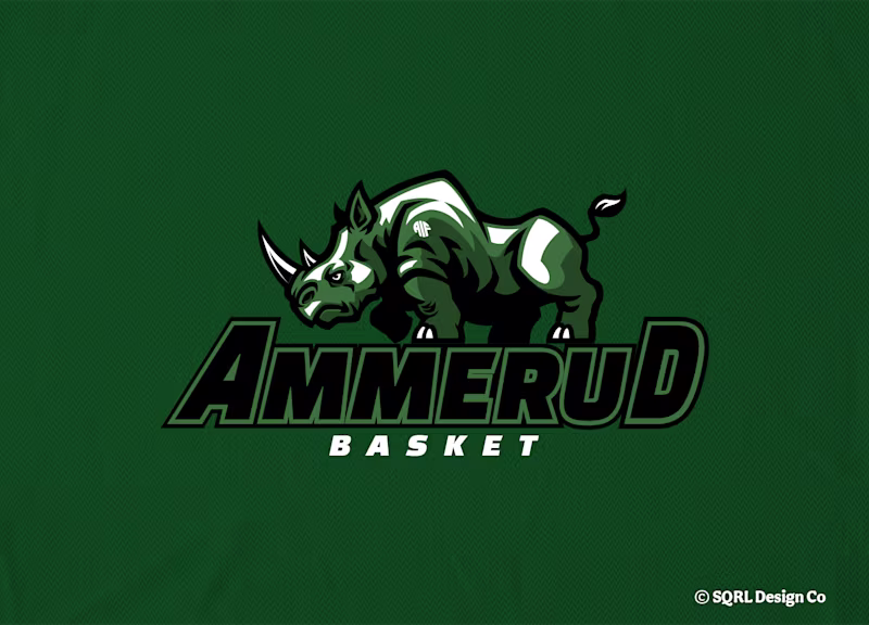 Cover image for Ammerud Basket - Concept
