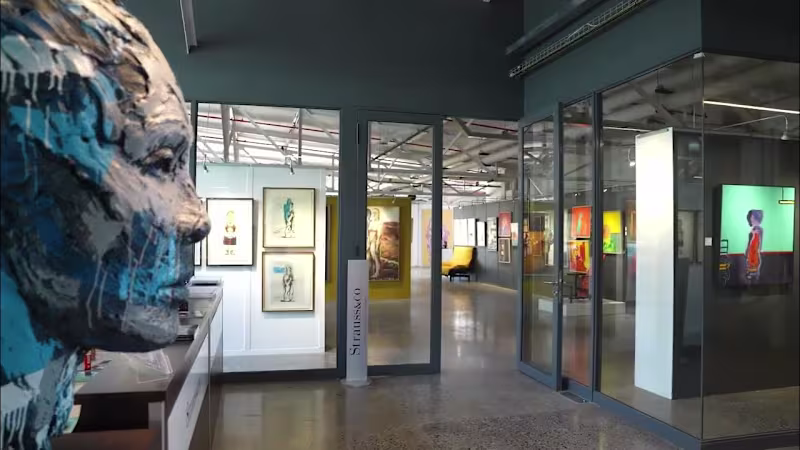 Cover image for Video editing: Cape Town Auction Week - Preview