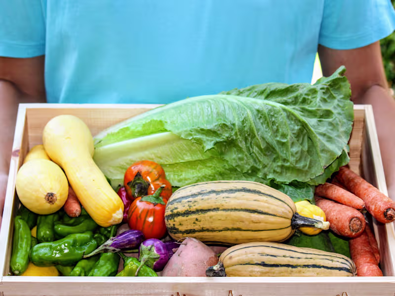 Cover image for The Boise Farmers Market - Newsletter 1/31/23