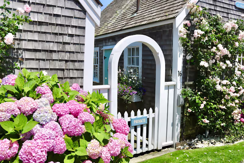 Cover image for BLOG: Exploring the Picture-Worthy Gems of Nantucket