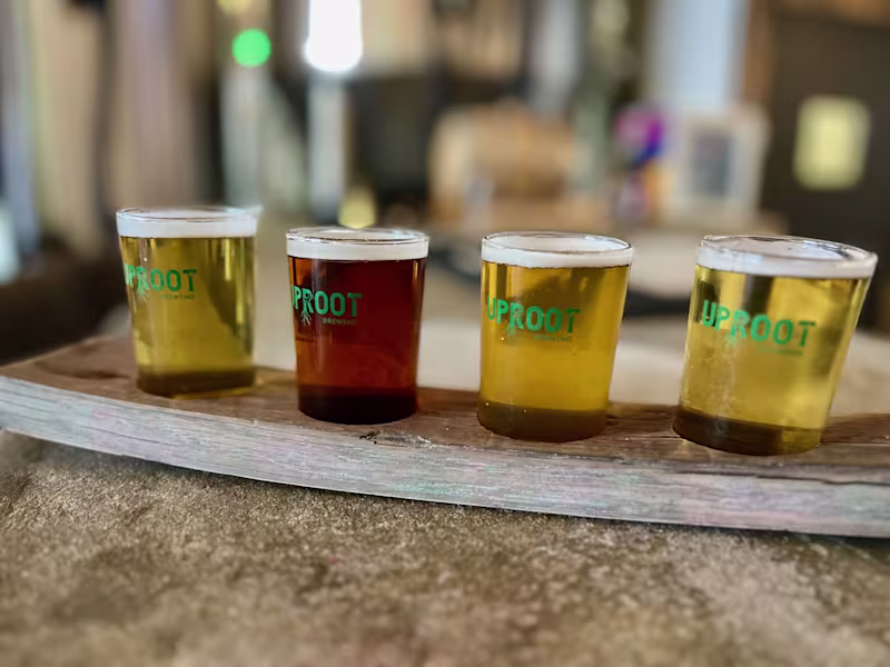 Cover image for Exploring Birmingham's Microbreweries