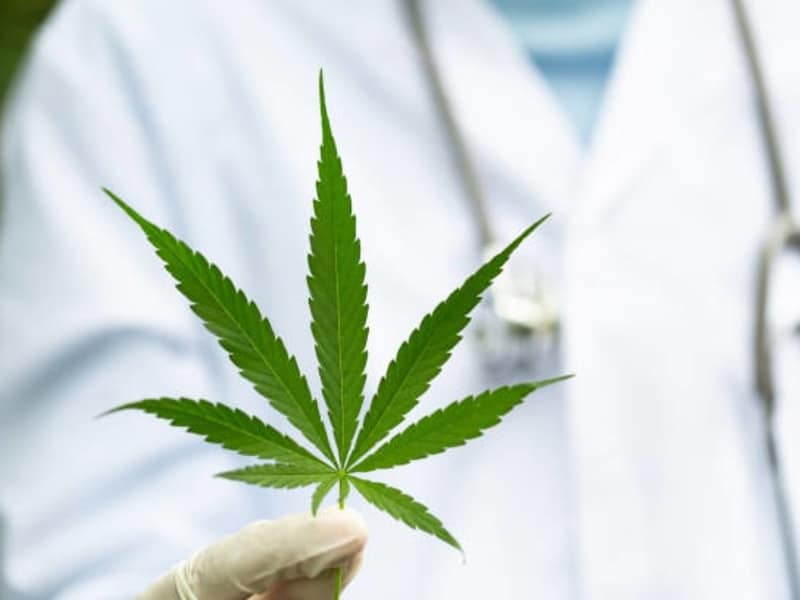 Cover image for Everything You Need to Know About Medical Marijuana