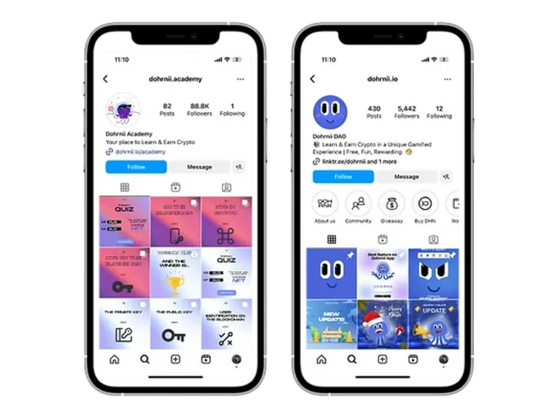 Cover image for COMMUNITY MANAGEMENT FOR DOHRNII