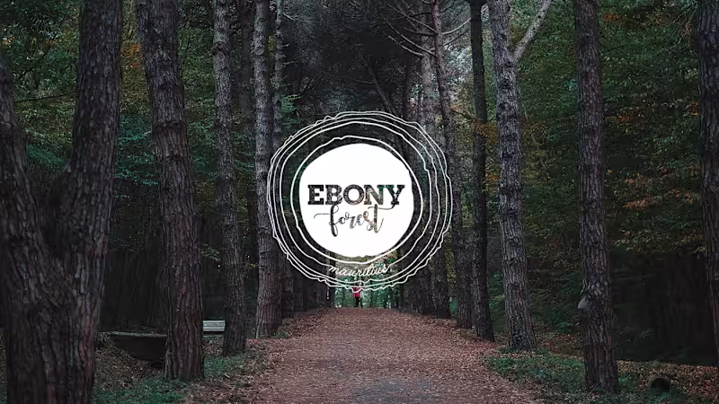 Cover image for Forest Conservation Training - Social Media Post on Behance