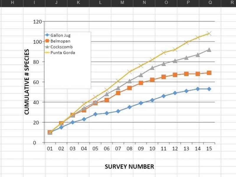 Cover image for Ecology: Study Site Analysis