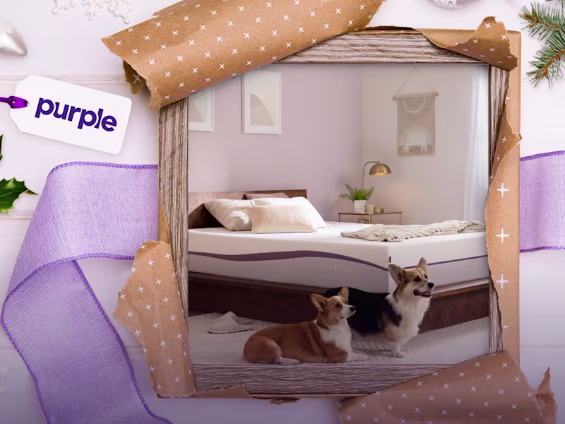 Cover image for Purple