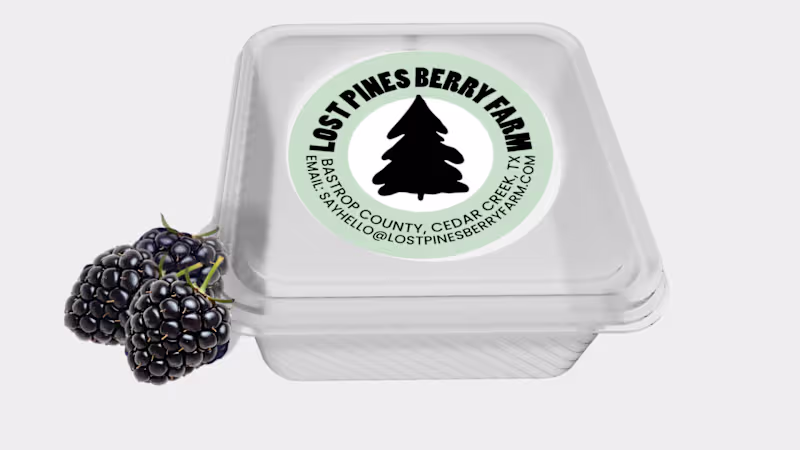 Cover image for This visual mockup was designed