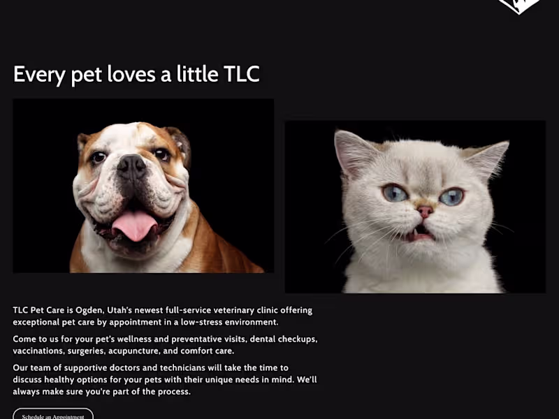 Cover image for Vet Clinic Website and Copywriting