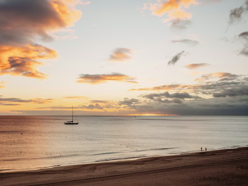 Cover image for Showreel