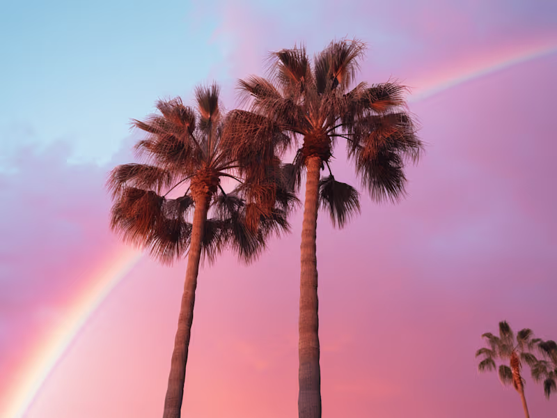 Cover image for Comprehensive Marketing & Branding