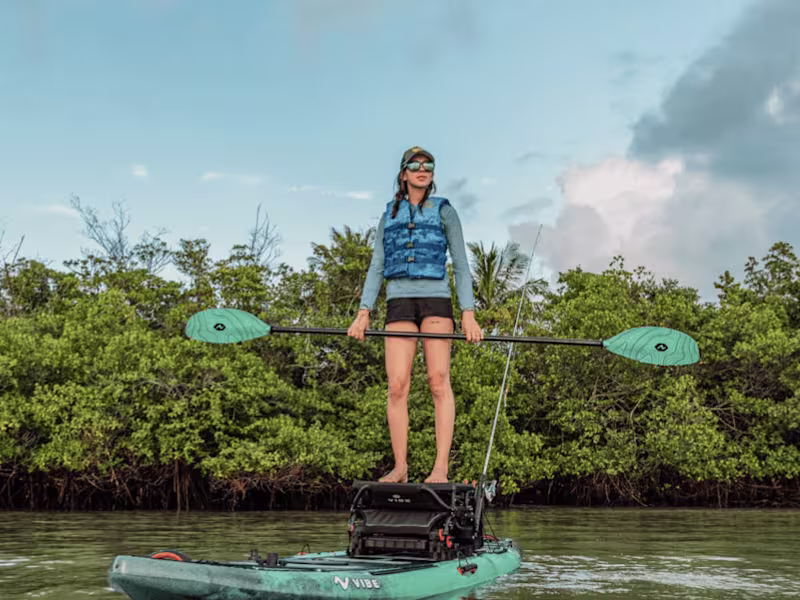 Cover image for Strong Growth with Vibe Kayaks