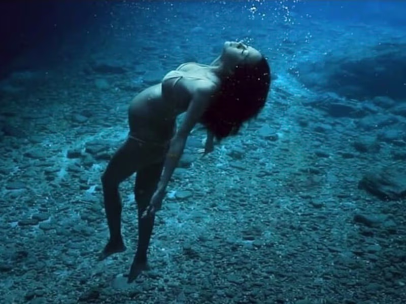 Cover image for International Ocean Film Festival — Geoff J Skigen - Creative D…