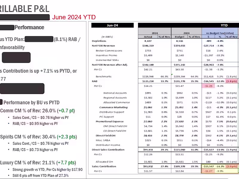 Cover image for Quarterly P&L Review + Strategic Insights