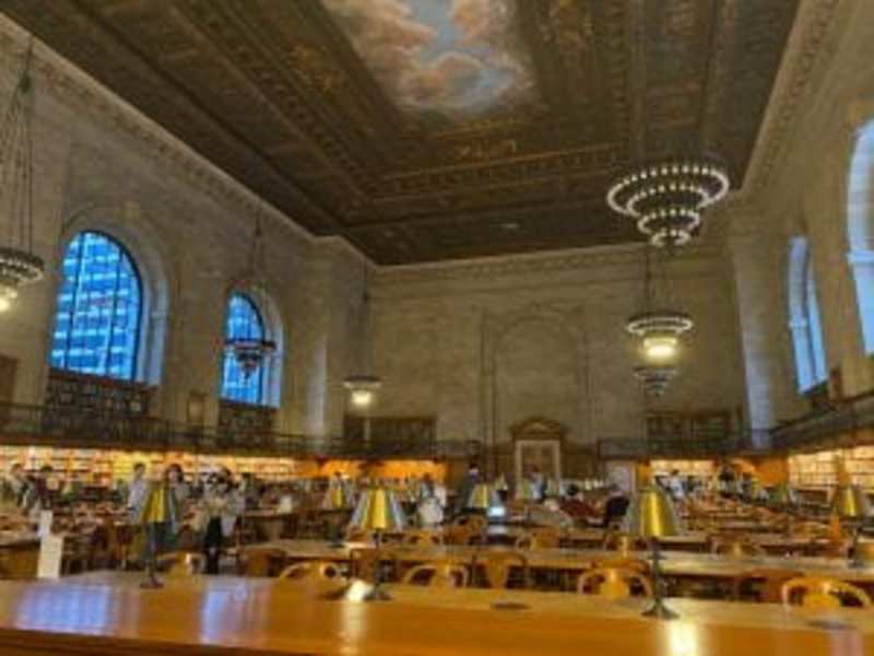 Cover image for City Study Spots – The Honors Herald
