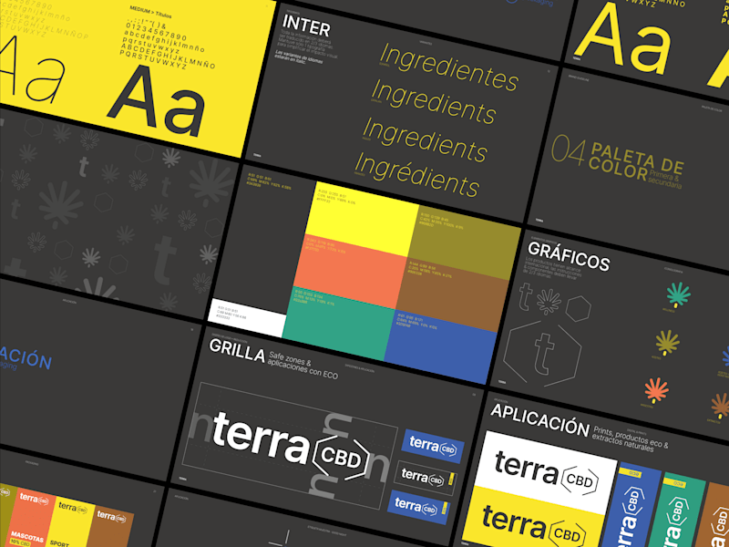 Cover image for Terra : Re Branding