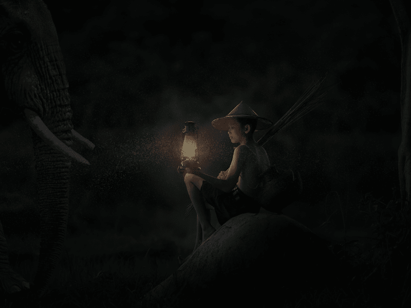 Cover image for Photo Composition