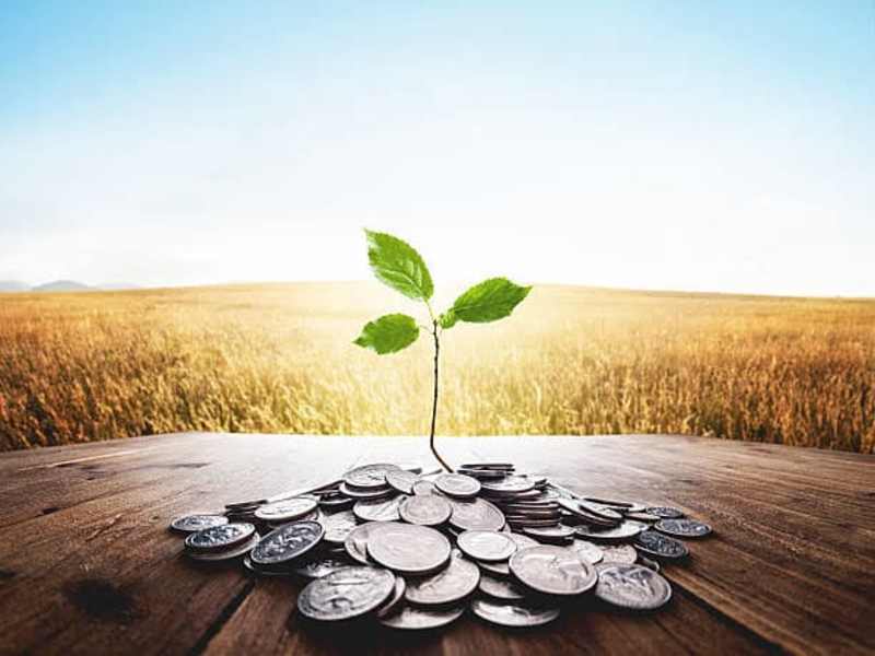 Cover image for Investing 101: Planting Seeds of Wealth