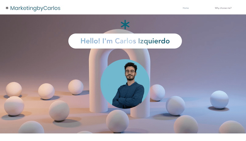 Cover image for CREATION OF WEBSITE